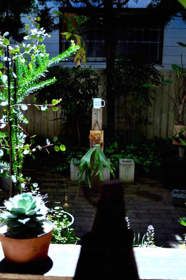 お休みいただきます。_b0172633_21083148.jpg