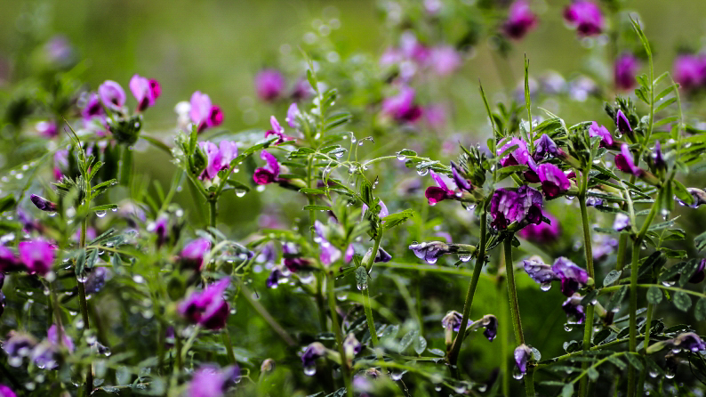 d0060435_14214937.jpg