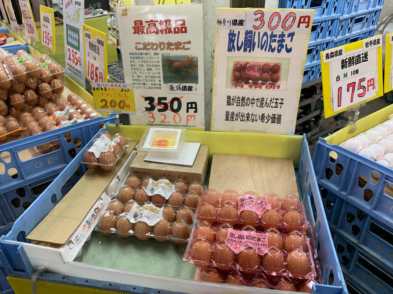 大東京綜合卸売センターで名物ねぎとろ丼_a0359239_11571049.jpg