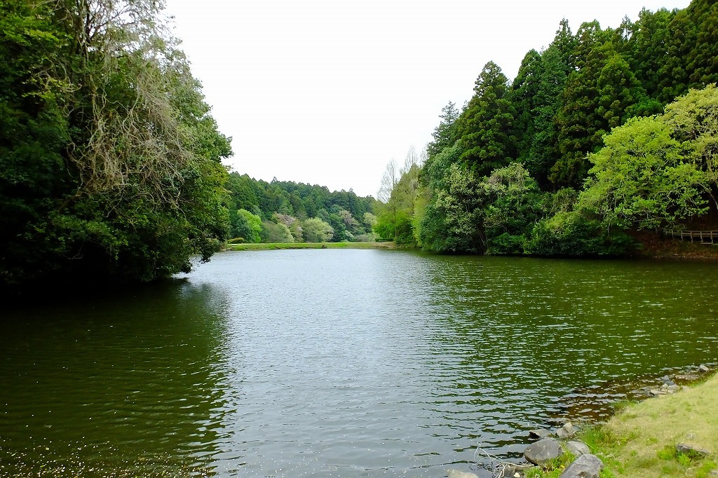 b0236251_10511090.jpg