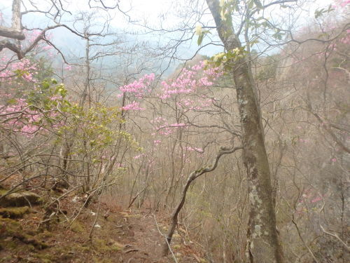 b0335256_10440489.jpg