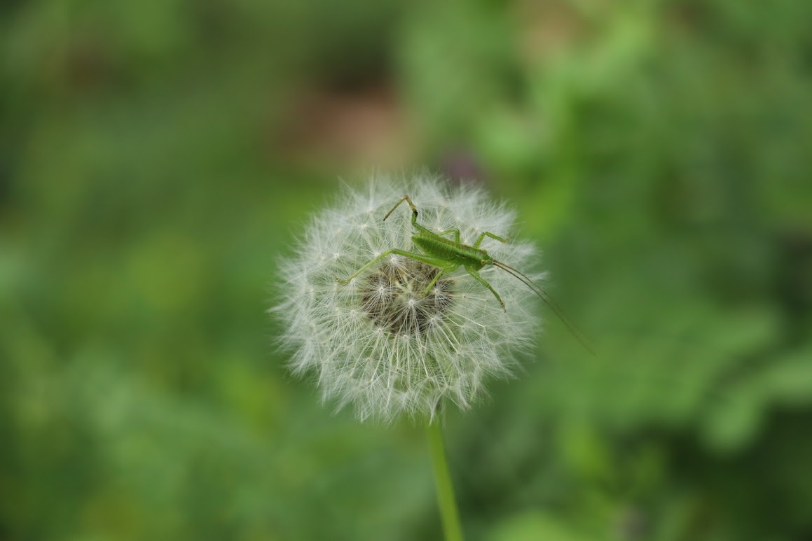 a0248459_15303401.jpg