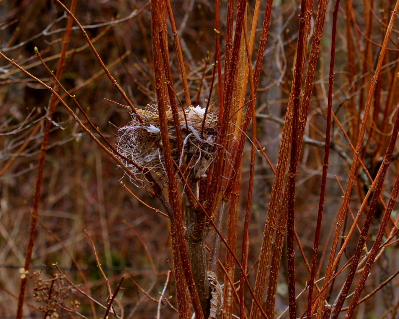 c0305565_17513107.jpg