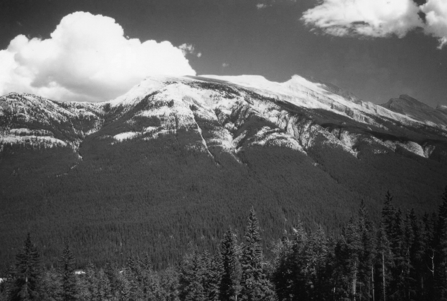 d0235865_22505227.jpg