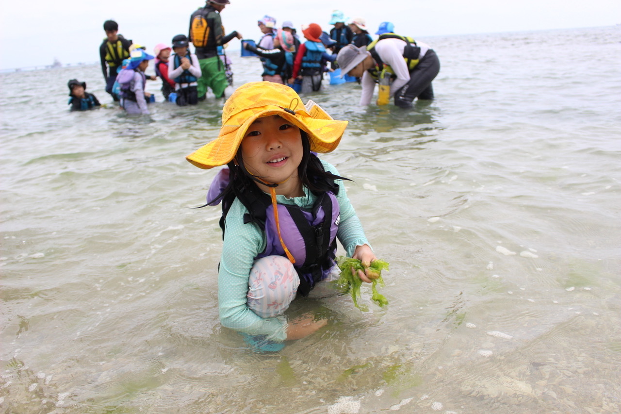 ネコキッズキャンプ〔１日目〕海はやっぱり楽しい！今日の海冷たかった！たっぷり浸かって、たっぷり見つけた！_d0363878_23064115.jpeg