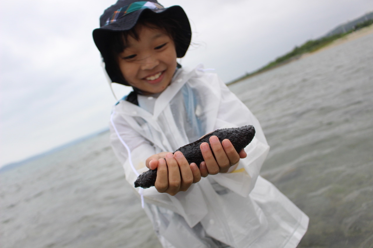 ネコキッズキャンプ〔１日目〕海はやっぱり楽しい！今日の海冷たかった！たっぷり浸かって、たっぷり見つけた！_d0363878_23074528.jpeg