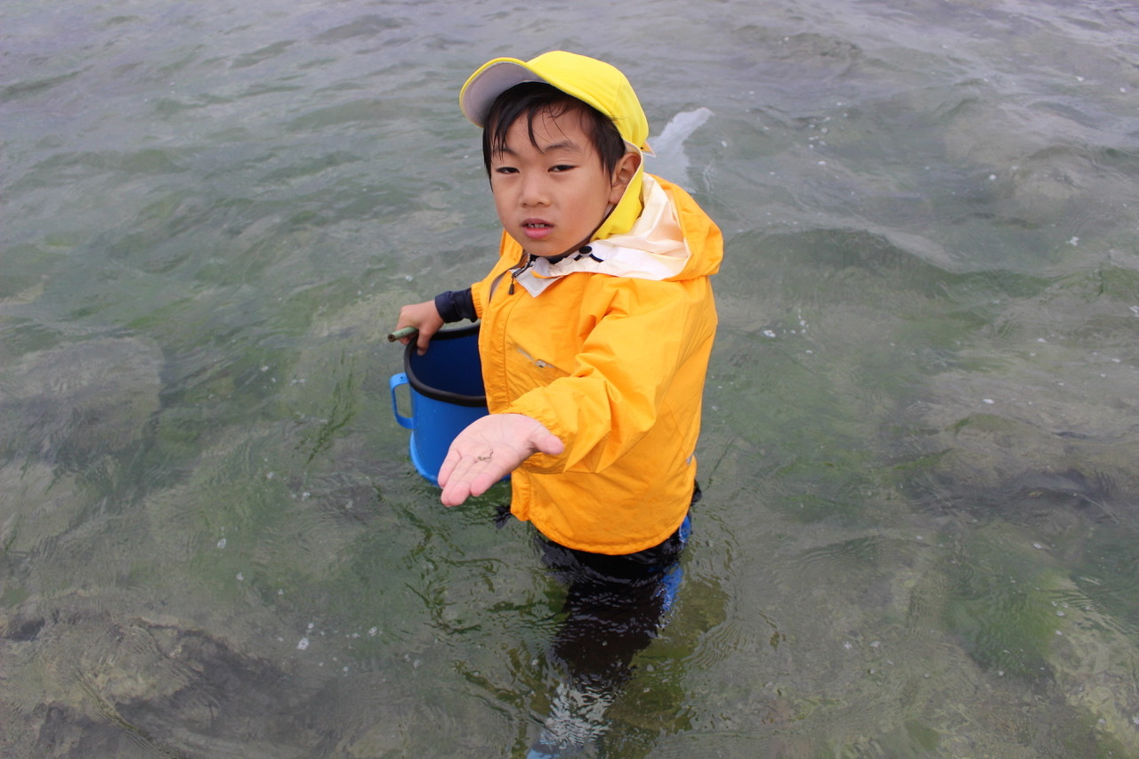 ネコキッズキャンプ〔１日目〕海はやっぱり楽しい！今日の海冷たかった！たっぷり浸かって、たっぷり見つけた！_d0363878_23080060.jpeg