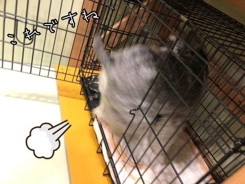 トレーニングブログ_f0357682_00061526.jpeg