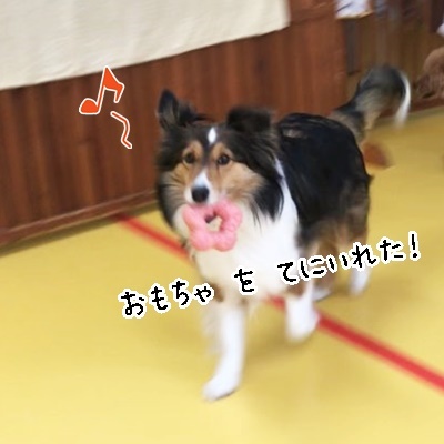 ゴールデンウィーク♪♪♪_f0357682_19061314.jpg