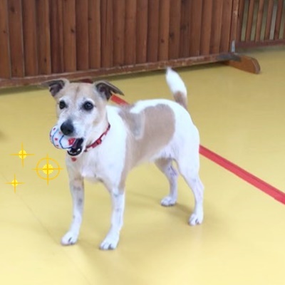 ゴールデンウィーク♪♪♪_f0357682_19062097.jpg
