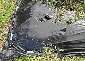 f0003283_09353769.jpg