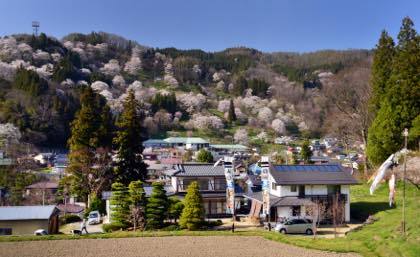 毎年6月から8月にかけて行ってる企画の一つ.........家族写真や七五三....._b0194185_17161535.jpg