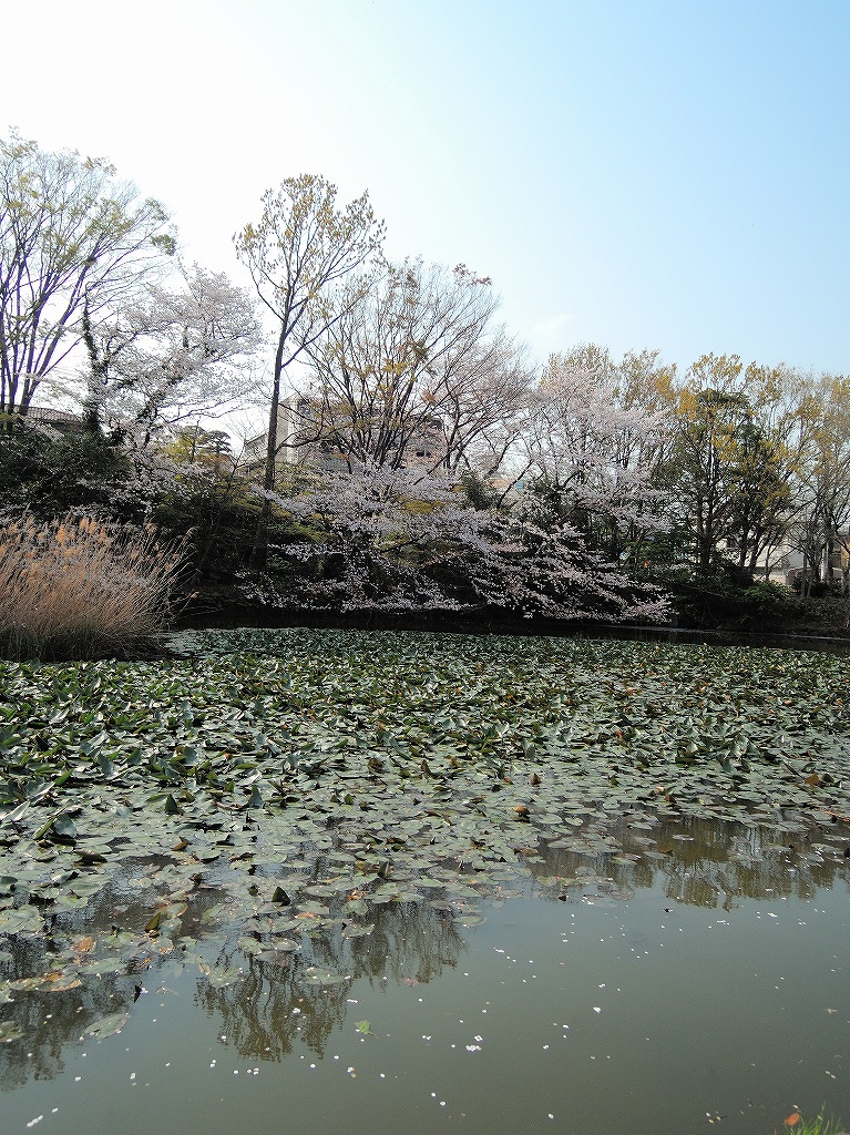 b0400788_22535743.jpg