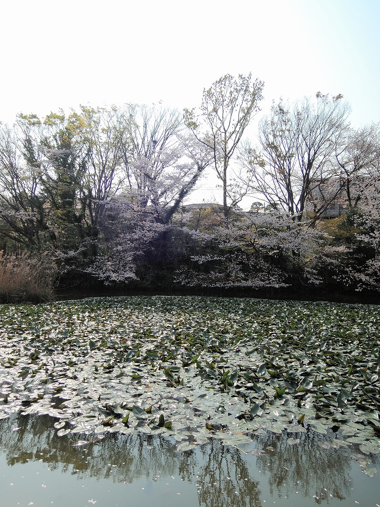 b0400788_22535749.jpg