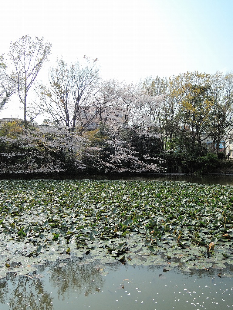 b0400788_22540003.jpg