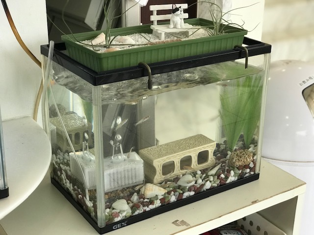5月 休業日のご案内_b0263390_15485293.jpg