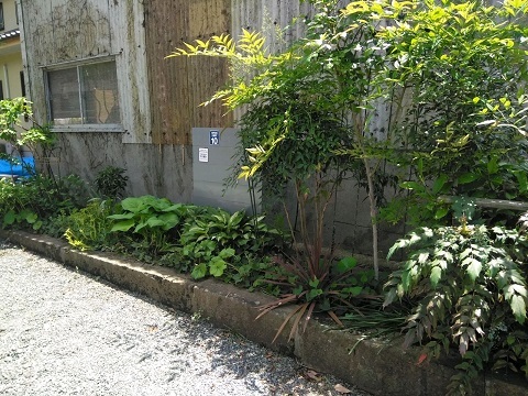 b0266191_12450925.jpg
