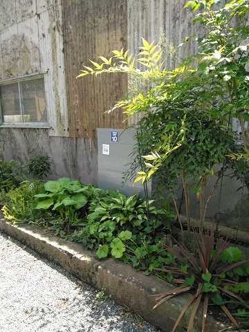 b0266191_12452281.jpg