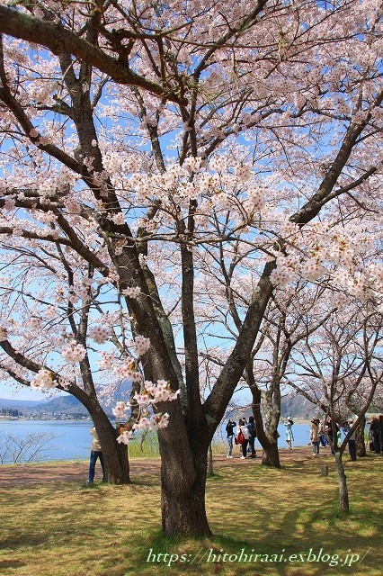 f0374092_23082617.jpg