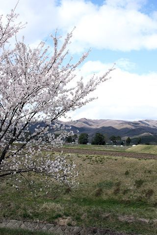 c0090198_19354330.jpg