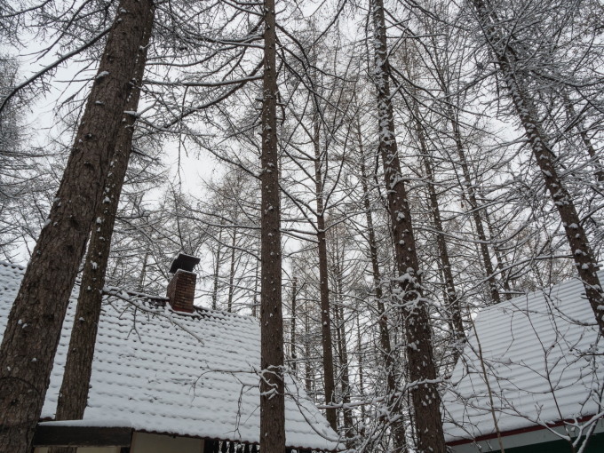 G.W.初日は雪・・これが本当に平成最後の雪リス!_f0276498_22513793.jpg