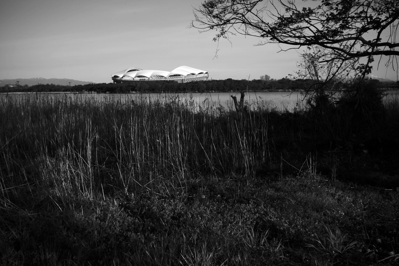 c0082800_22401140.jpg