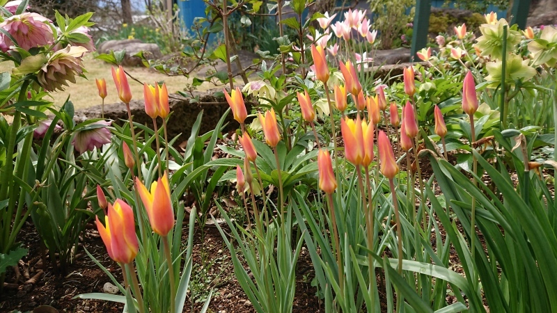 c0320302_18245848.jpg