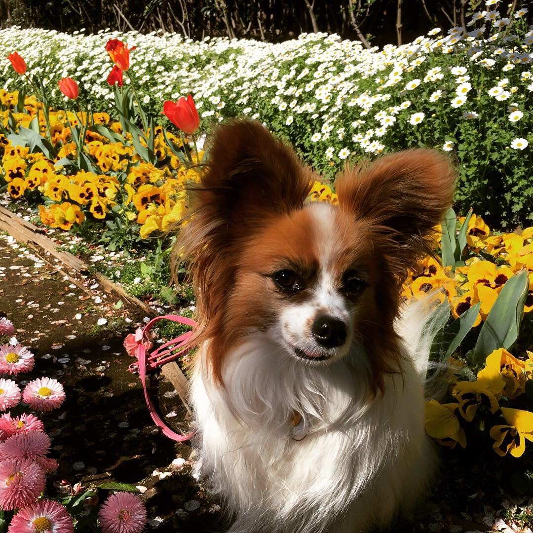 江の島 島編_f0034602_07124936.jpeg