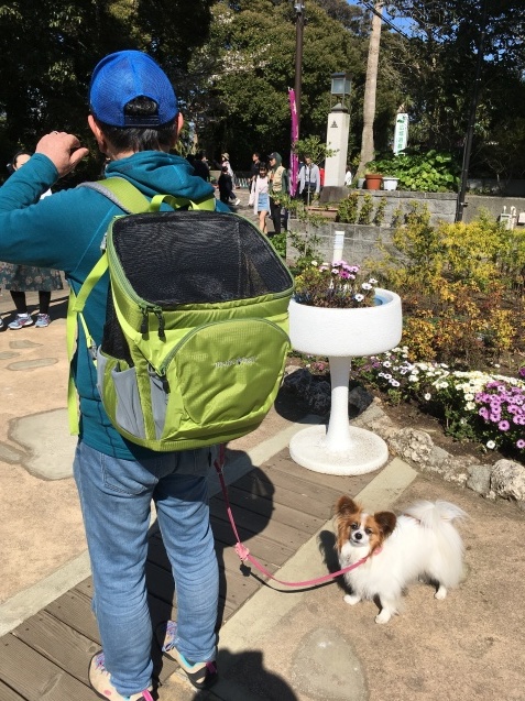 江の島 島編_f0034602_07130999.jpeg