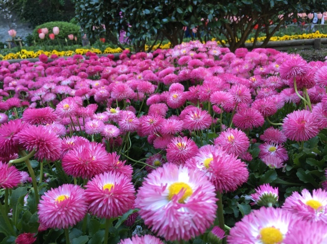 江の島 島編_f0034602_07140624.jpeg