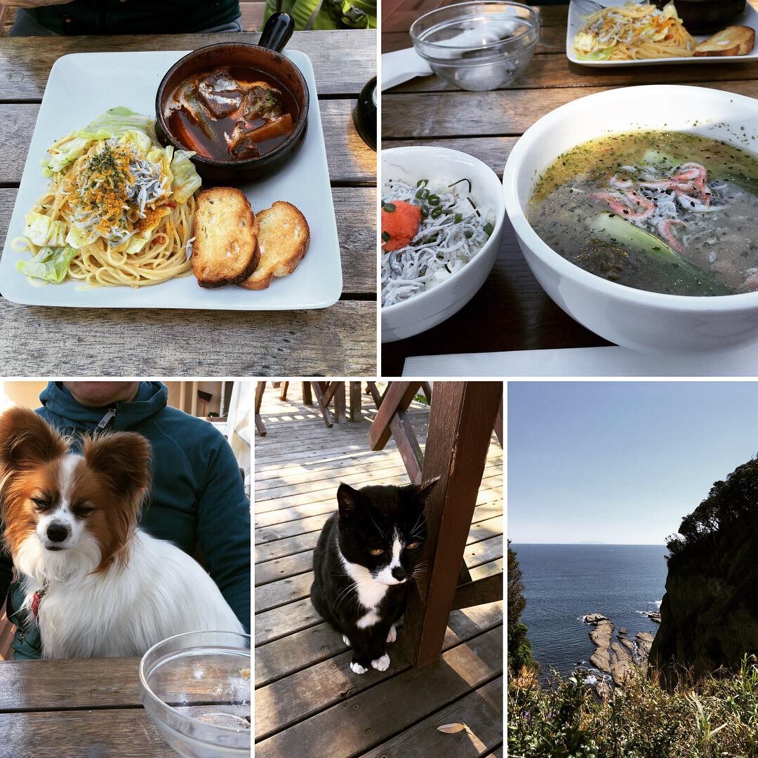 江の島 島編_f0034602_07151682.jpeg