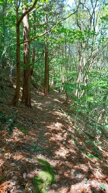 c0368903_13424258.jpg