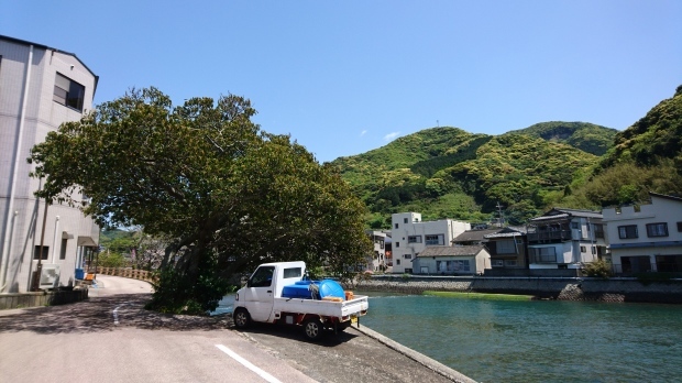 c0368903_13534930.jpg