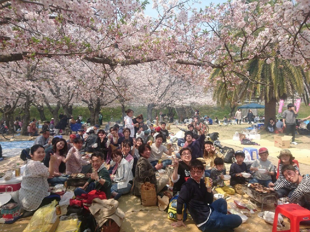 “ちゃんとした”お花見が出来たよ。_b0334704_14020003.jpg