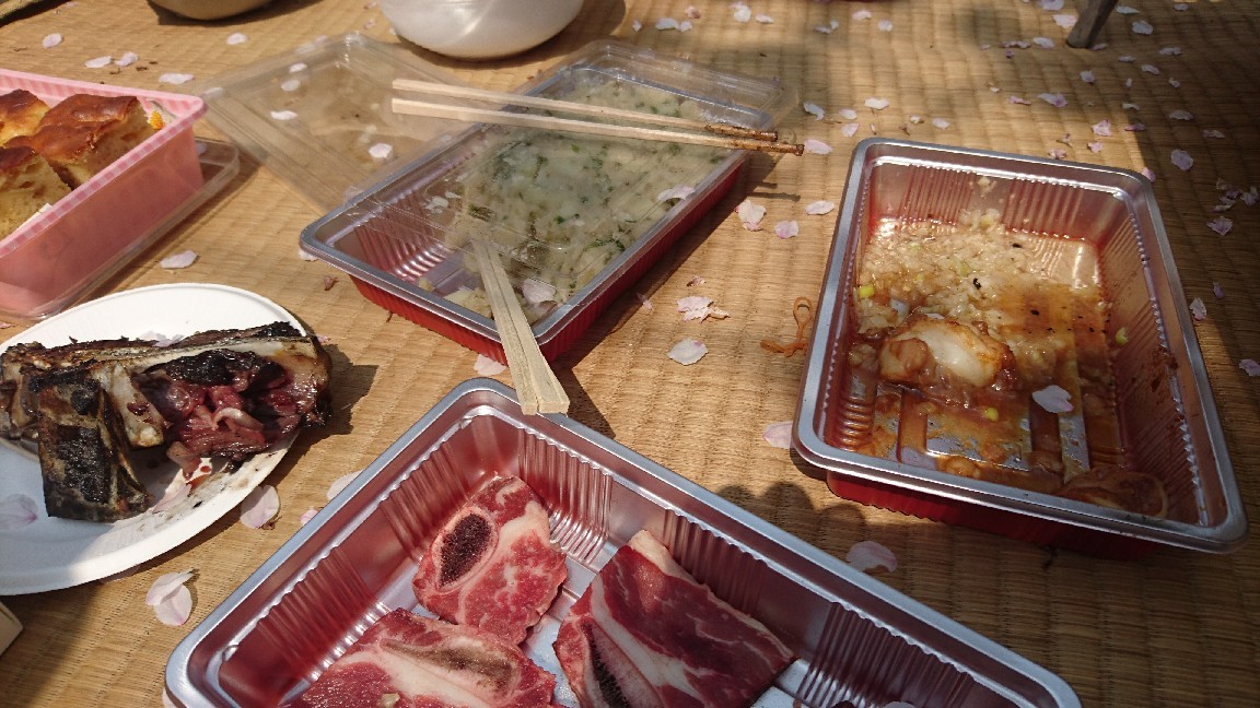 “ちゃんとした”お花見が出来たよ。_b0334704_14020089.jpg