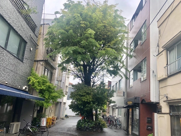 c0388708_19281682.jpeg
