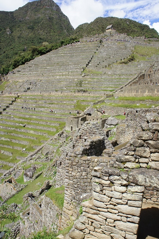 b0112909_11364572.jpg