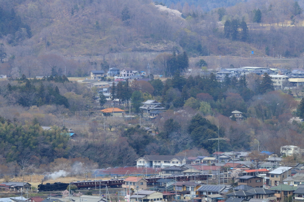秩父市郊外の春景 - 2019年桜・秩父 -_b0190710_21462058.jpg
