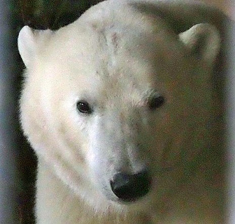 a0151913_514565.jpg
