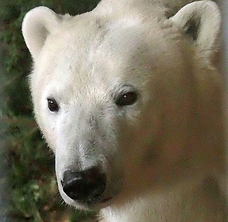 a0151913_5252794.jpg