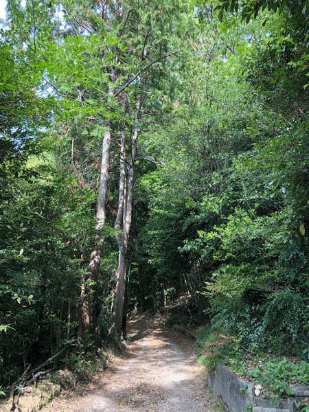 中山道ではありません、うちの裏山の道、市内でもこんな道は意外とあるんですよ。_b0268815_09543325.gif