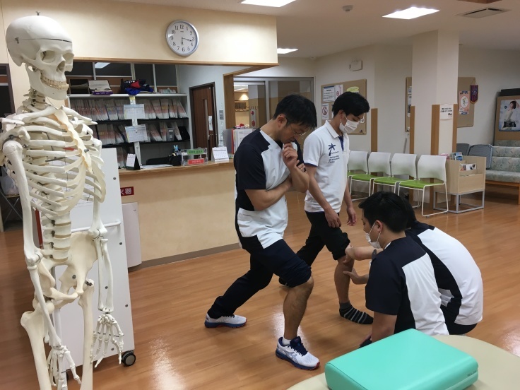 膝関節のアライメント評価とKnee-in Toe-out 勉強会_b0329026_00385117.jpeg