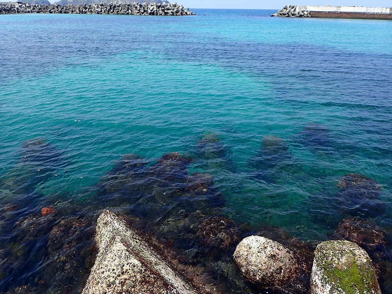 e0284726_10234321.jpg