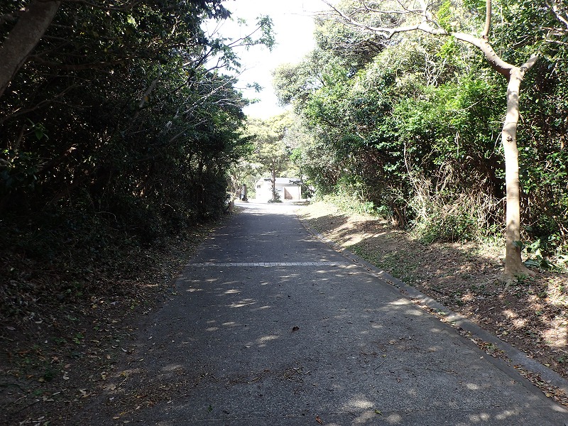 e0284726_9385532.jpg