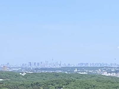 b0330040_18134587.jpeg