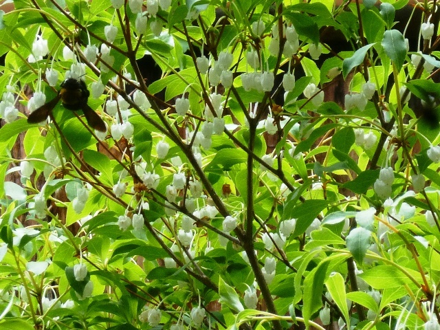 e0230141_21280087.jpg