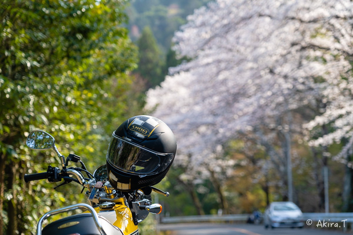 バイクは楽し!! YAMAHA SR400 -50- 🌸_f0152550_20251163.jpg