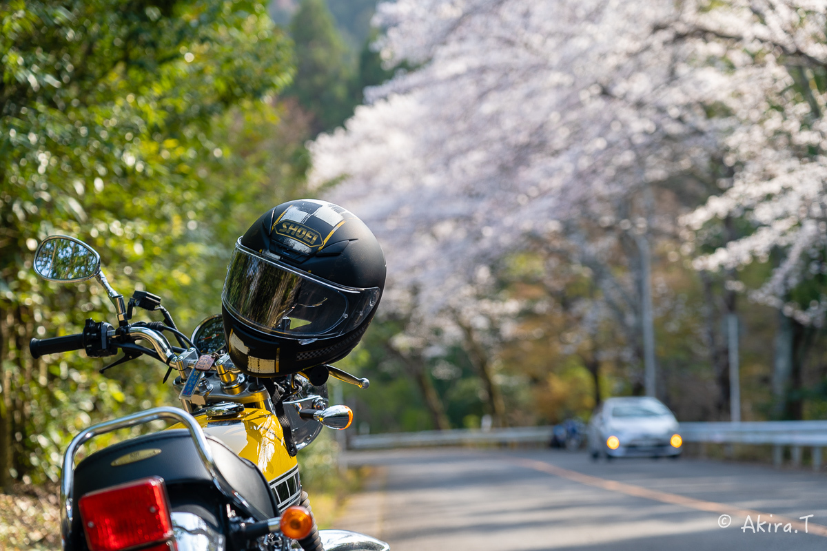 バイクは楽し!! YAMAHA SR400 -50- 🌸_f0152550_20251849.jpg