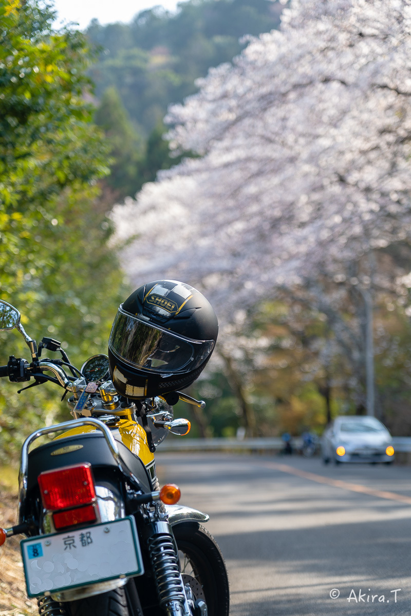 バイクは楽し!! YAMAHA SR400 -50- 🌸_f0152550_20252500.jpg