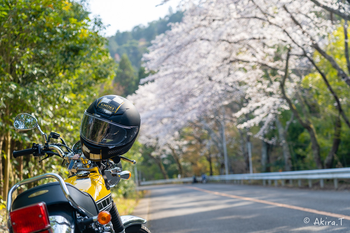 バイクは楽し!! YAMAHA SR400 -50- 🌸_f0152550_20253128.jpg